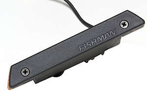 Fishman Rare Earth Single Coil