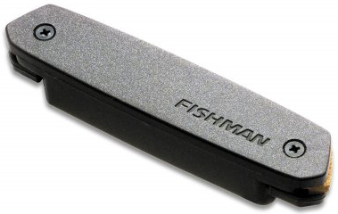 Fishman Neo-D Humbucking Pickup