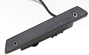 Fishman Rare Earth Humbucking