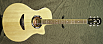 Yamaha APX500II (Natural)
