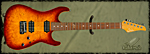 Suhr Standard (Mother Of Burl) **SOLD**