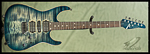 Anderson Angel (Natural Arctic Blue Burst) **SOLD**